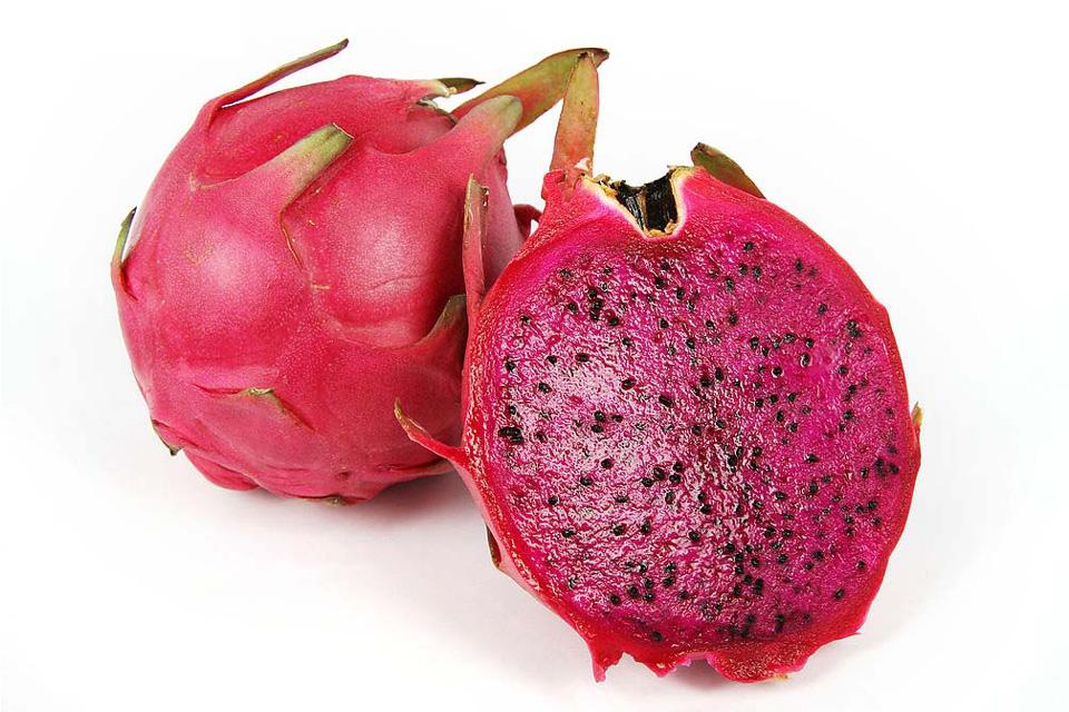 狗狗能吃火龙果吗？