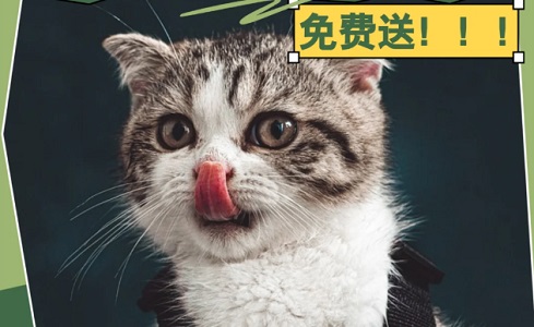 狗驱虫后几天可以洗澡