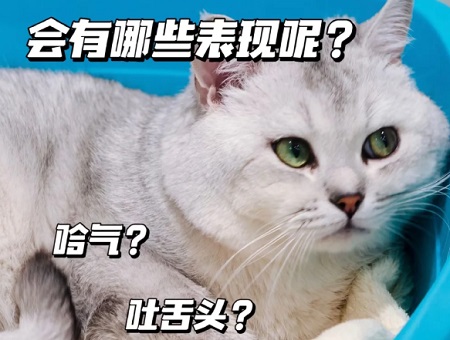 猫脖子被绳子勒着了怎么办？