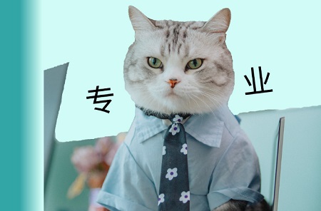 猫咪吐白沫的原因有哪些？