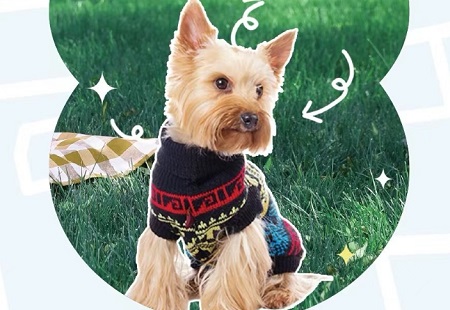 狗狗拉血水没有精神怎么办？