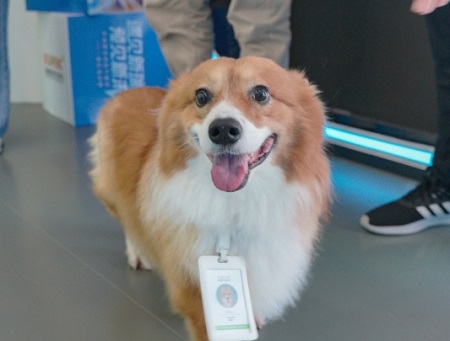 狗狗一周洗一次澡频繁吗？